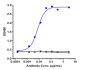 Anti-SIRPa / CD172a Reference Antibody (Hospital for Sick Children patent anti-SIRPA)